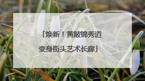 焕新！黄陂锦秀道变身街头艺术长廊