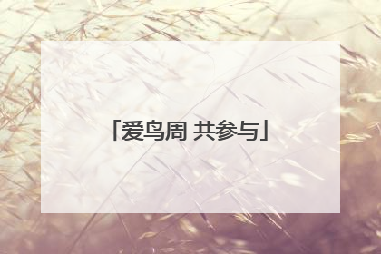 爱鸟周 共参与