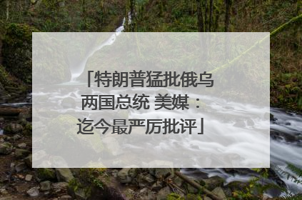特朗普猛批俄乌两国总统 美媒：迄今最严厉批评