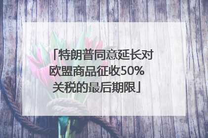 特朗普同意延长对欧盟商品征收50%关税的最后期限