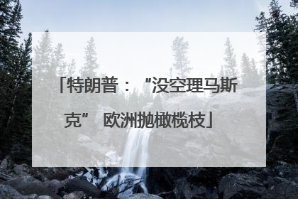 特朗普：“没空理马斯克” 欧洲抛橄榄枝