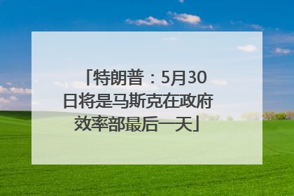 特朗普：5月30日将是马斯克在政府效率部最后一天