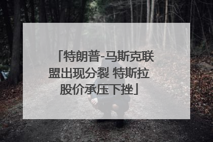特朗普-马斯克联盟出现分裂 特斯拉股价承压下挫