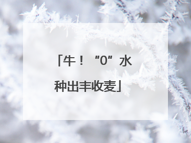 牛！“0”水种出丰收麦
