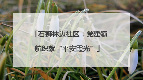 石狮林边社区：党建领航织就“平安霞光”