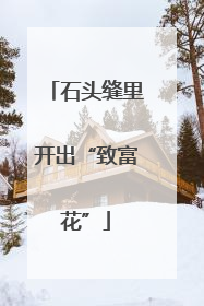 石头缝里开出“致富花”