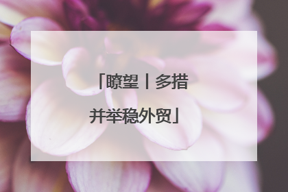 瞭望丨多措并举稳外贸