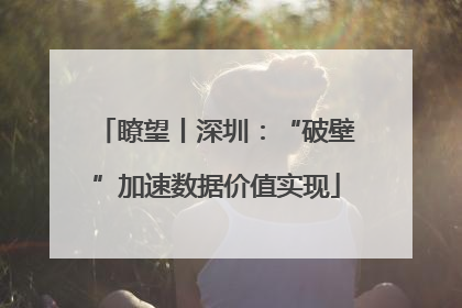瞭望丨深圳：“破壁”加速数据价值实现