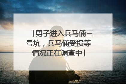 男子进入兵马俑三号坑，兵马俑受损等情况正在调查中