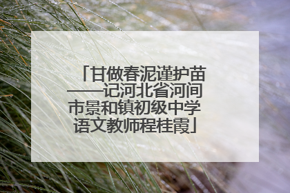 甘做春泥谨护苗——记河北省河间市景和镇初级中学语文教师程桂霞