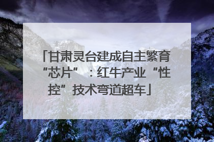 甘肃灵台建成自主繁育“芯片”：红牛产业“性控”技术弯道超车