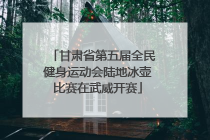 甘肃省第五届全民健身运动会陆地冰壶比赛在武威开赛