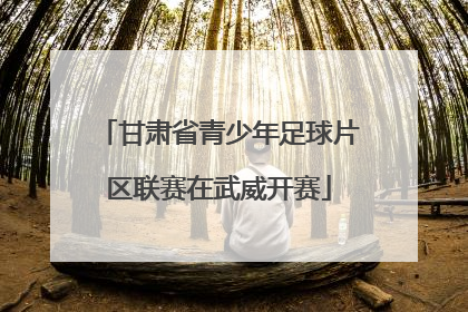 甘肃省青少年足球片区联赛在武威开赛