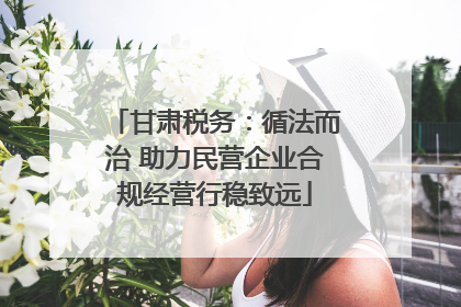 甘肃税务：循法而治 助力民营企业合规经营行稳致远