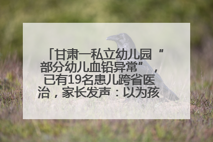 甘肃一私立幼儿园“部分幼儿血铅异常”，已有19名患儿跨省医治，家长发声：以为孩子出问题，没想过会与学校有关