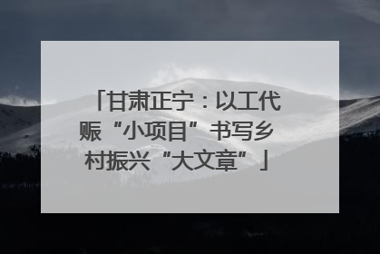 甘肃正宁：以工代赈“小项目”书写乡村振兴“大文章”