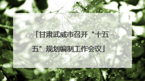 甘肃武威市召开“十五五”规划编制工作会议