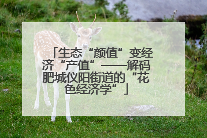 生态“颜值”变经济“产值”——解码肥城仪阳街道的“花色经济学”