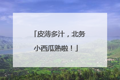 皮薄多汁，北务小西瓜熟啦！