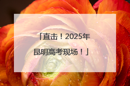 直击！2025年昆明高考现场！