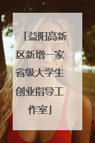 益阳高新区新增一家省级大学生创业指导工作室