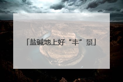 盐碱地上好“丰”景