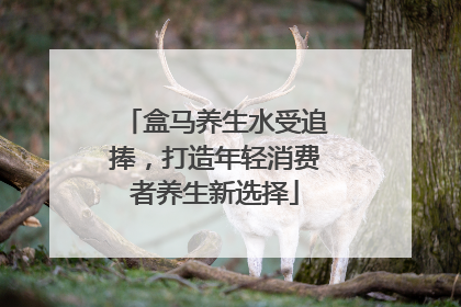 盒马养生水受追捧，打造年轻消费者养生新选择