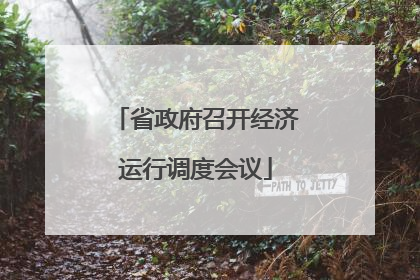 省政府召开经济运行调度会议