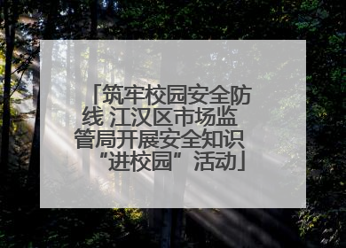 筑牢校园安全防线 江汉区市场监管局开展安全知识“进校园”活动