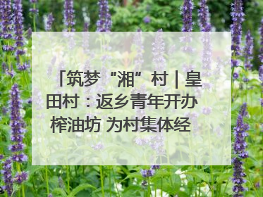 筑梦“湘”村｜皇田村：返乡青年开办榨油坊 为村集体经济“加油”