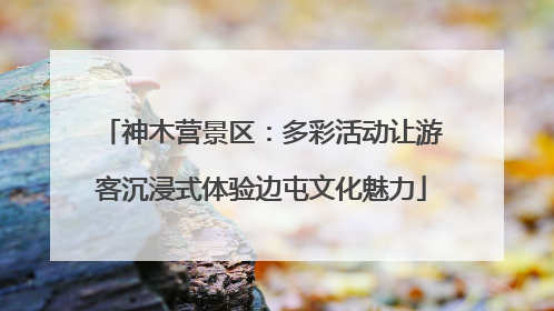 神木营景区：多彩活动让游客沉浸式体验边屯文化魅力