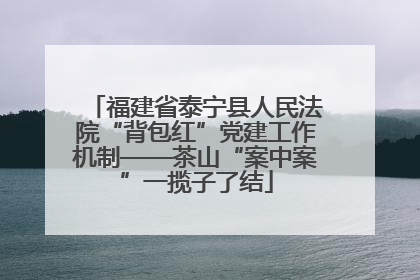 福建省泰宁县人民法院“背包红”党建工作机制——茶山“案中案”一揽子了结