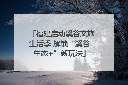 福建启动溪谷文旅生活季 解锁“溪谷生态+”新玩法