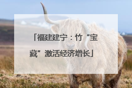 福建建宁：竹“宝藏”激活经济增长