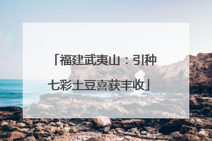 福建武夷山：引种七彩土豆喜获丰收