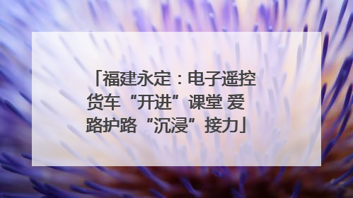 福建永定：电子遥控货车“开进”课堂 爱路护路“沉浸”接力