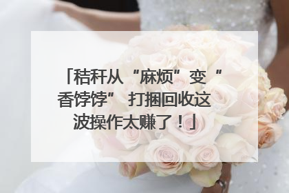 秸秆从“麻烦”变“香饽饽” 打捆回收这波操作太赚了！