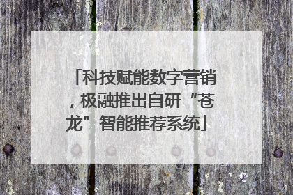 科技赋能数字营销，极融推出自研“苍龙”智能推荐系统