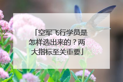 空军飞行学员是怎样选出来的？两大指标至关重要