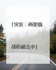突发：两架俄战机被击中