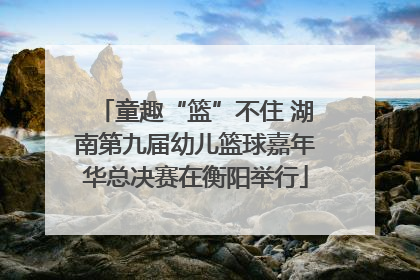 童趣“篮”不住 湖南第九届幼儿篮球嘉年华总决赛在衡阳举行