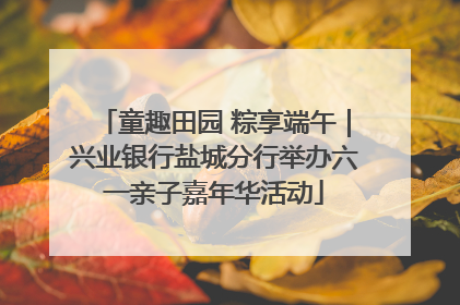 童趣田园 粽享端午｜兴业银行盐城分行举办六一亲子嘉年华活动