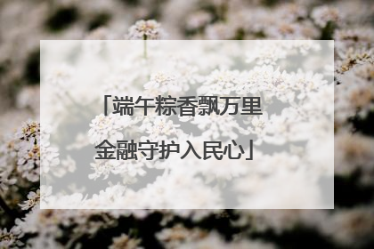 端午粽香飘万里 金融守护入民心