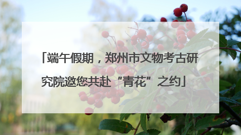 端午假期，郑州市文物考古研究院邀您共赴“青花”之约