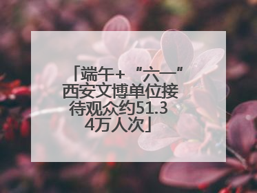 端午+“六一” 西安文博单位接待观众约51.34万人次