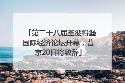 第二十八届圣彼得堡国际经济论坛开幕，普京20日将致辞
