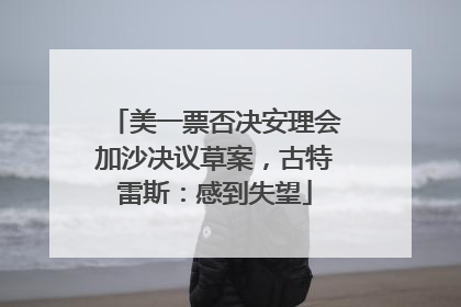 美一票否决安理会加沙决议草案，古特雷斯：感到失望