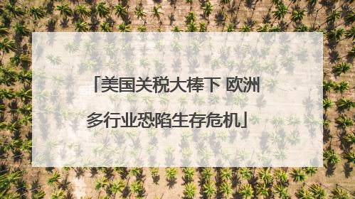 美国关税大棒下 欧洲多行业恐陷生存危机