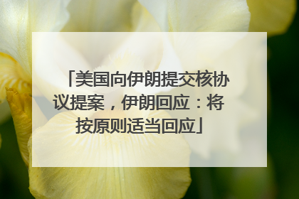 美国向伊朗提交核协议提案，伊朗回应：将按原则适当回应