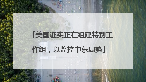 美国证实正在组建特别工作组，以监控中东局势